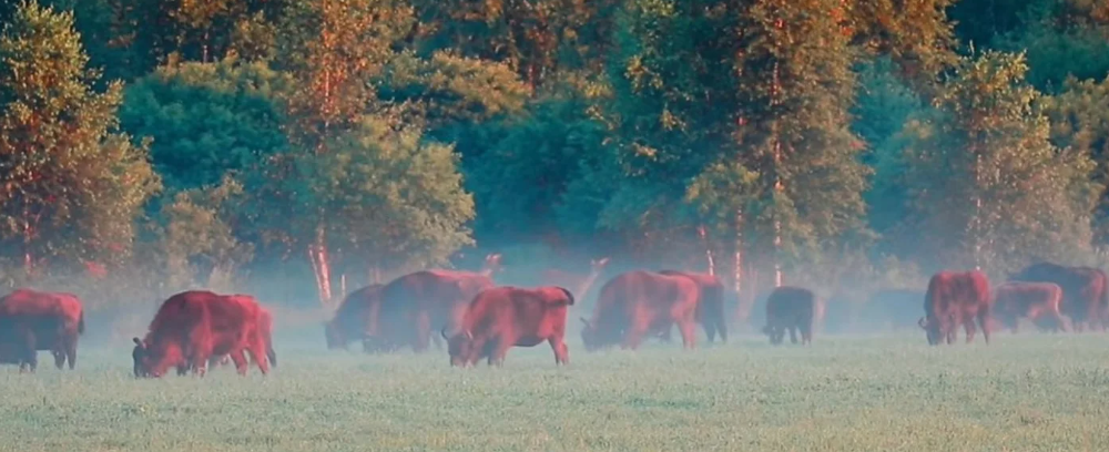 18.02-1.png 18.02-1.png