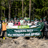 Работники Национального кадастрового агентства принимают участие в республиканской акции «Неделя леса – 2023»