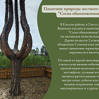 Границы особо охраняемых природных территорий в Реестре АТЕ и ТЕ